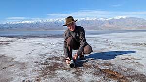 Herb of the Salt Flats